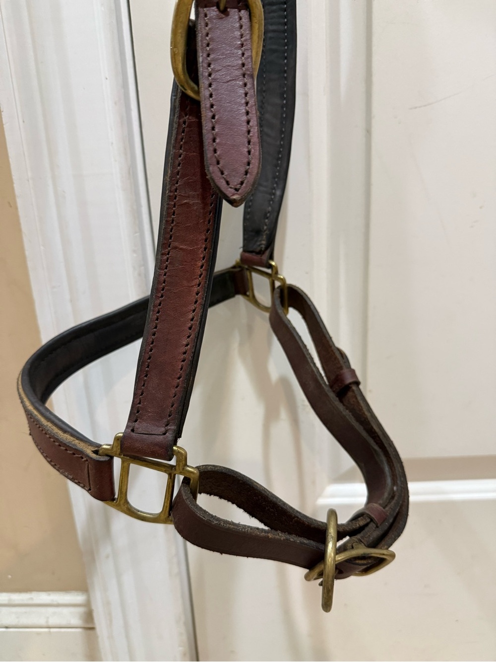 Equestrian item : Grooming Classic Brown Leather HALTER horse size padded